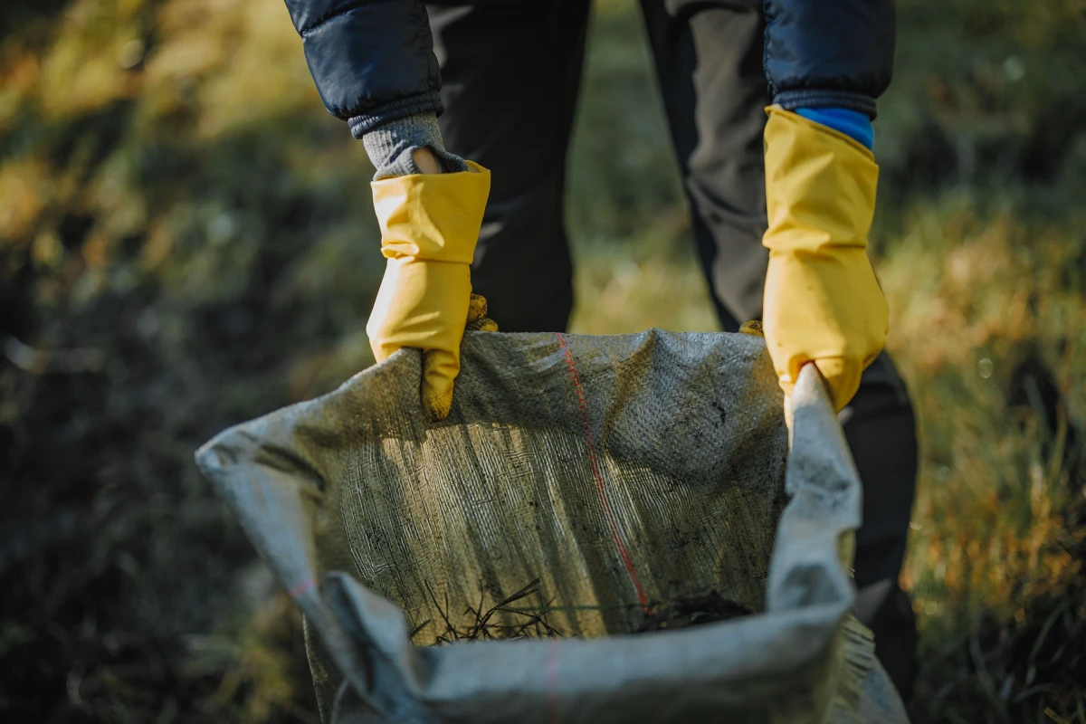 La responsabilité environnementale des entreprises : un défi juridique majeur du 21e siècle