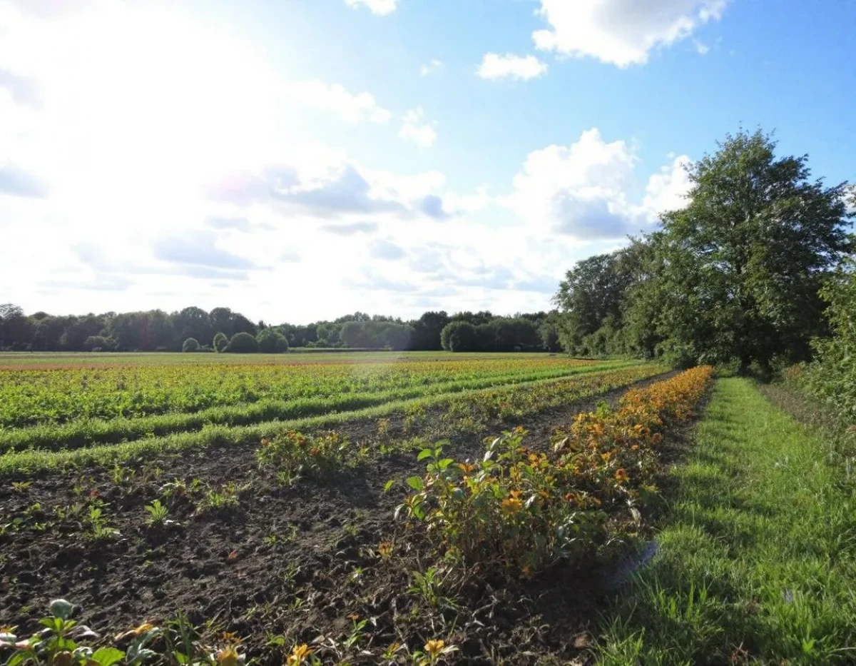 L'Assurance Multirisque Agricole : Protection Complète pour le Monde Agricole